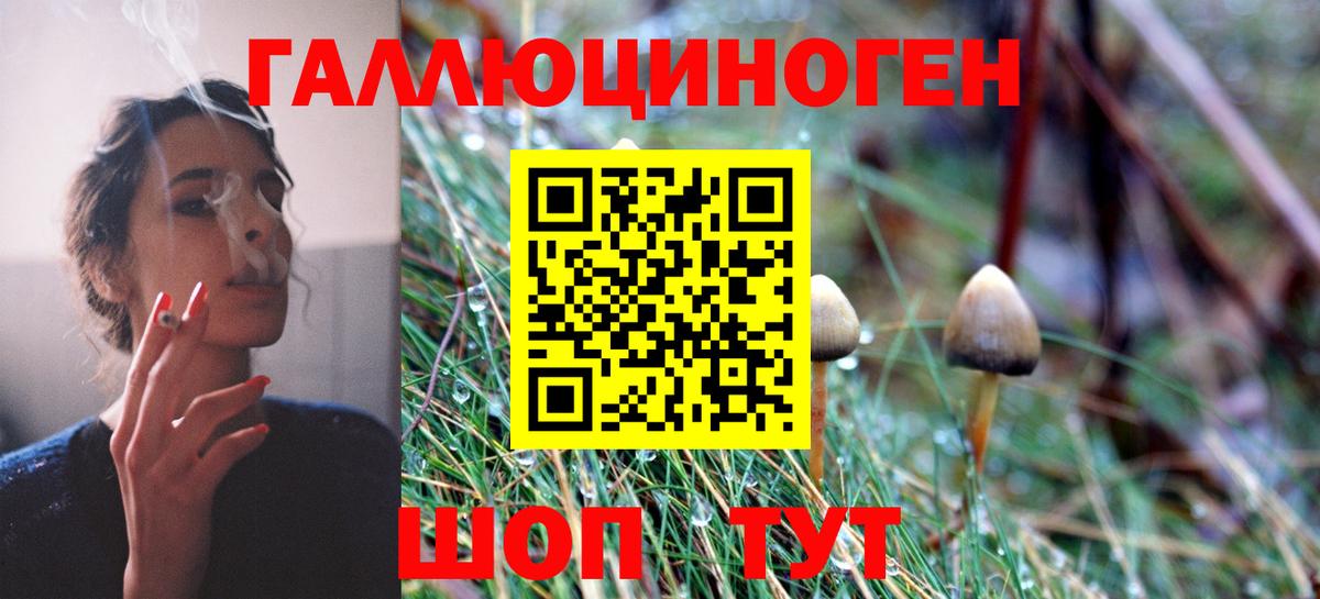 цены наркотик  Галлюциногенные грибы мухоморы  Вход с VPN  Курчалой 
